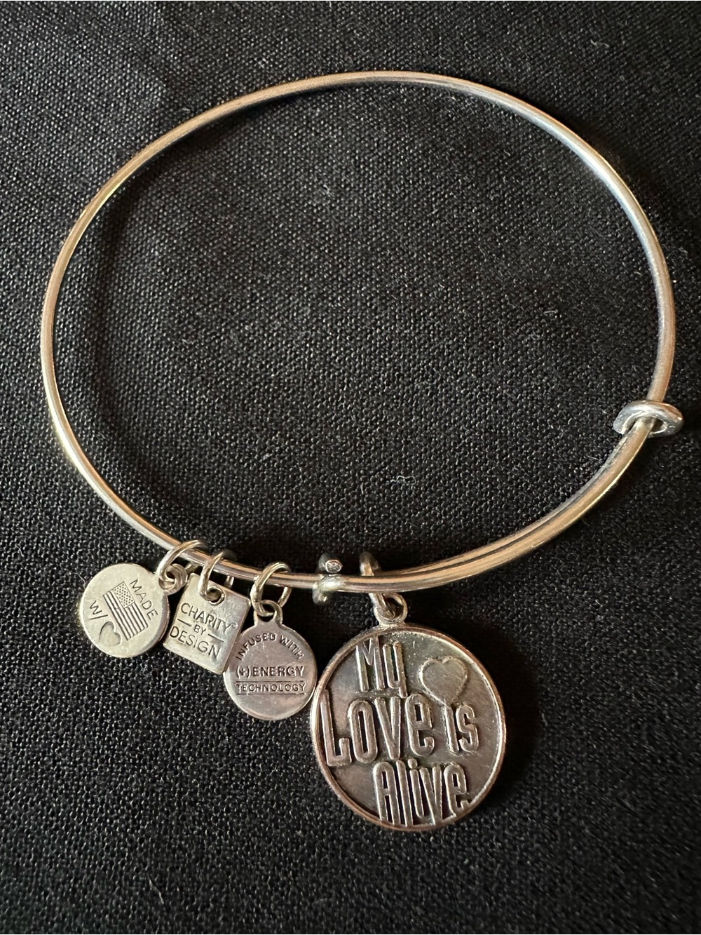 Alex and Ani Silver 'My Love Is Alive' Charm Bangle Bracelet